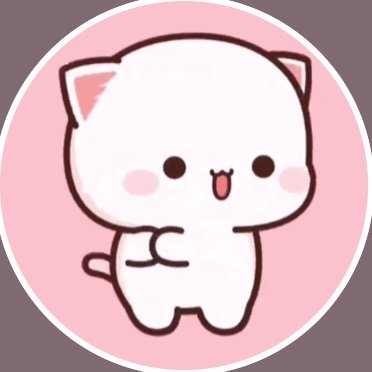vvdd2kxz's profile picture. Contributor | Content creator | Leader 
📌My official channel: https://t.co/jZpKhx4Mi6