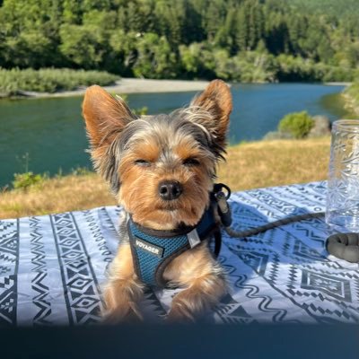 JDBlandford1's profile picture. Husband, father, grandfather, great grandfather, crypto enthusiast and golf addict.