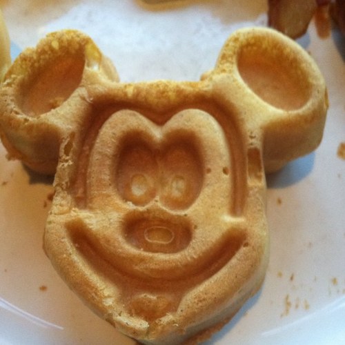 chicklil91's profile picture. NFL, Giants, Disney, Vans, Cats- that's what I am made of- learning how to appreciate the small things in life- because as bad as it is, it can always be worst