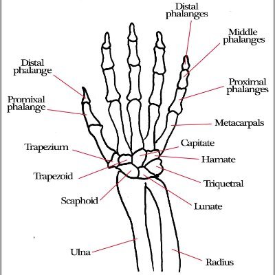 Aashish1442U's profile picture. Pursuing medicine in tech