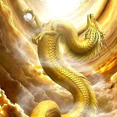 MIHOoo1110's profile picture. ¨̮⋆♡⋆♡⋆♡⋆♡⋆♡⋆♡⋆¨̮
男の子mama ⋆͛🦖⋆͛

🎁❤🙏✧︎  🎯๛ก(ｰ̀ωｰ́ก)
よろしくお願い致します🌈🌈🌈🌈