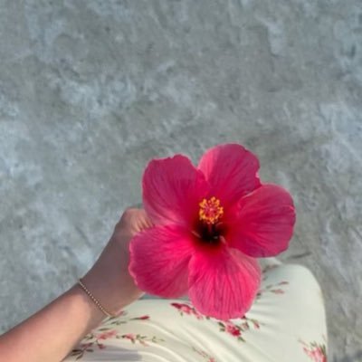 yasegul29's profile picture. 