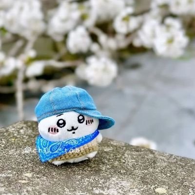 walkemandmolest's profile picture. 19