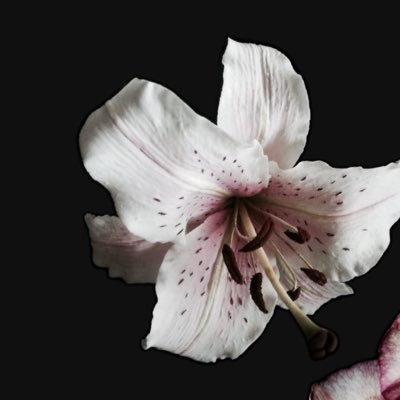 _M_H10's profile picture. 