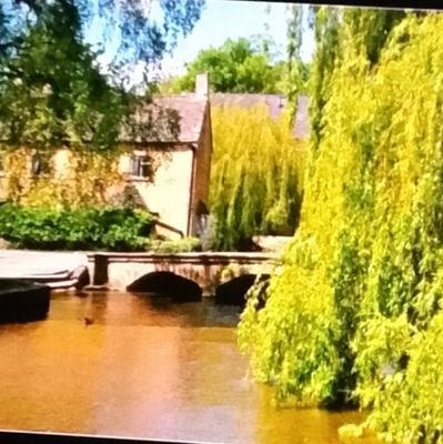 mechi9862_yc's profile picture. 