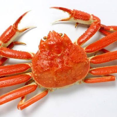 hsSDt3TKu874934's profile picture. かに食いてぇえなー 肉も食いてぇえなー マグロも食いてぇえなー漫画も欲しいなーお金も欲しいなー