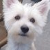 Carmen Fernandez (@carmenf01851071) Twitter profile photo Carmen Fernandez (@carmenf01851071) Twitter profile photo