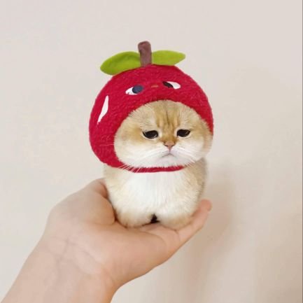 Vennoakbar's profile picture. A Curious Mind