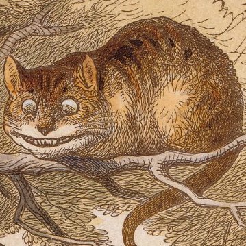 izcheshirecat's profile picture. RT sub, promoting compulsively Alpha Gender🔄
Believer of Female Superiority👑
I'm not looking to be an owned slave‼️