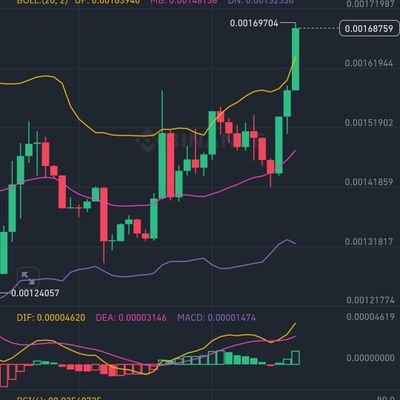 Cryptozzbuk's profile picture. 