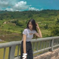 celqer (@celqer) 's Twitter Profile