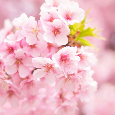 aen2261's profile picture. 