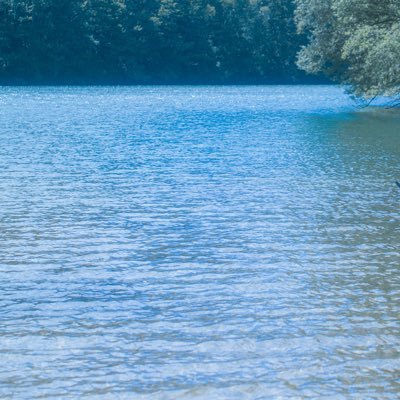 tera_sake's profile picture. コミュニティ代わり。酒やご飯、進捗諸々。楽しく生きる🥂