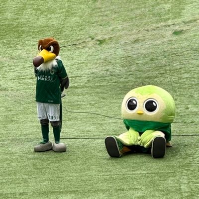 💚🤍/東京に越してきて気づいたら緑色のゴール裏にいた元めんたいこ県民/ルンとヴィヴィくんと23推し🐥⸒⸒/無言フォロー失礼します!/気軽にフォローしてください!
