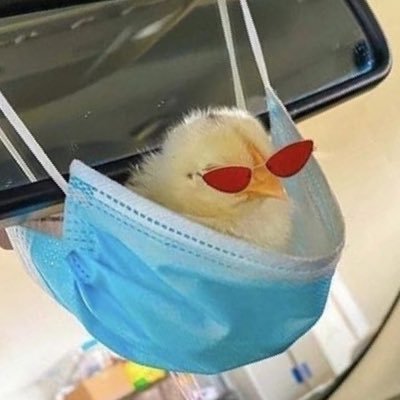 c4l4m4ri_'s profile picture. brenda ur tv is leaking