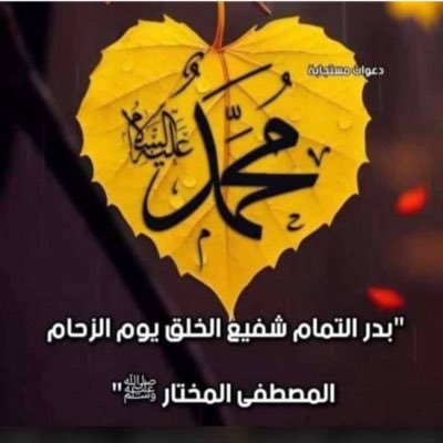 اللهم صبّ على أهل غzة رِضاً وصبراً ونصراً وفرجا. اللهم اجبر كسرَهم، وارحم ضعفَهم، فلا ناصر لهم إلا أنت، ولا مولى لهم سواك