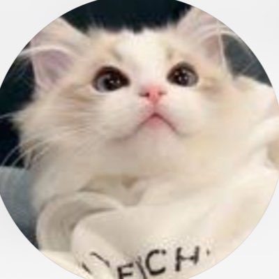 ha67728's profile picture. TikTokLite┊ ︎ゼロ活┊︎懸賞┊︎クーポン交換┊︎TikTokLite争奪戦開催時には2~4踏企画をしております！ ※当選報告は😸😸😸で🔎から検索                                                 サブ垢(避難垢)👉🏻@suzu_2ndc