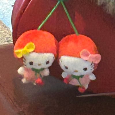 대만고양이