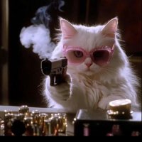 PinkGun (@spink010101) 's Twitter Profile Photo PinkGun (@spink010101) 's Twitter Profile Photo