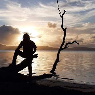 savalanoghlou's profile picture. Ex-Muslim. Feminist. Centrist.