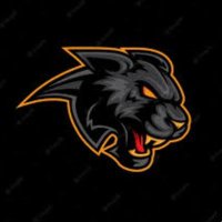 Informative Panther (@informativ110) 's Twitter Profile