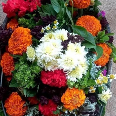 etvtr4's profile picture. سبحان الله العظيم