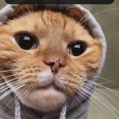 NinjaTr_'s profile picture. 