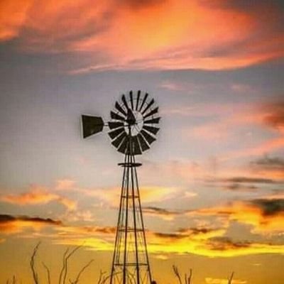 La producción agropecuaria es lo mío.
Los derechos de exportación son una maldición.
Ni peronista, ni Libertario; Librepensador.