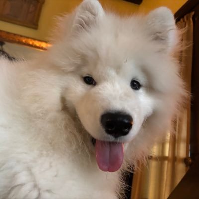 Peters922432's profile picture. ✌️❤️‍🔥☠️