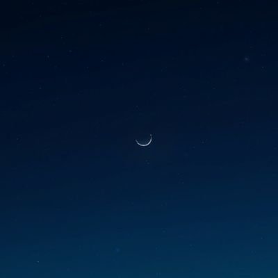 calmcaffeine's profile picture. 