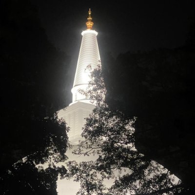 nimeshkuma40632's profile picture. 