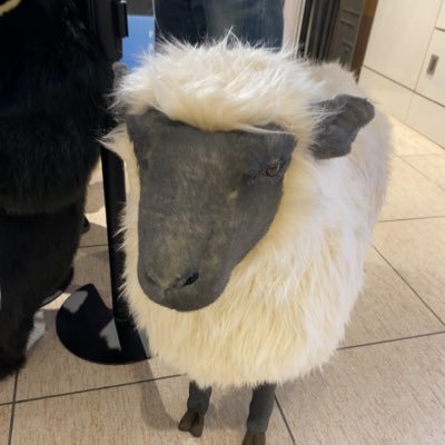 りんの日常 Profile