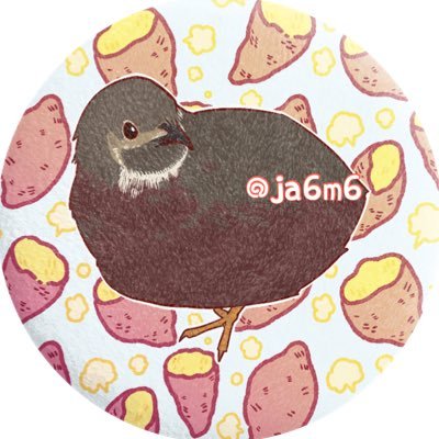 瓶詰めJAMさんのプロフィール画像