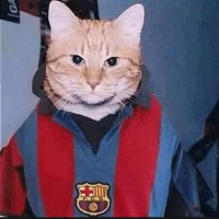 SpankyFCB (@zuluuuu__) 's Twitter Profile