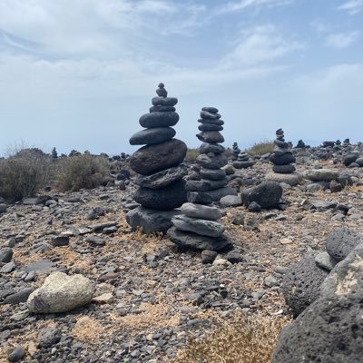 juniorsprog's profile picture. 