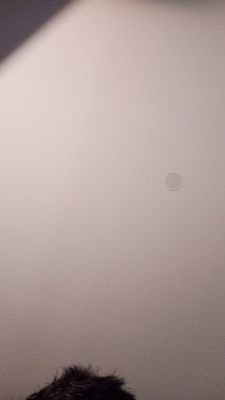 Aom1575746's profile picture. gvfcdhtthgh@gmail.com 
364.นางรอง.บุรีรัมย์.31110