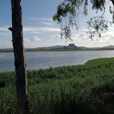 RaizHolder's profile picture. 