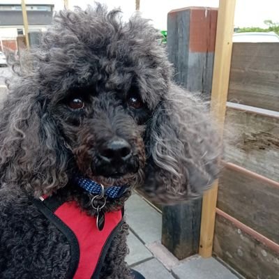 j8ce's profile picture. Old. Boring.