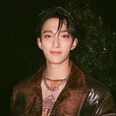 that one oomf that wouldn't shut up about reveteen ⭑ seoksoo misser ♡