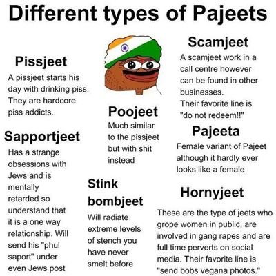 MIbrahimin16528's profile picture. This account use UNCENSORED language against ZIONISTS and PAJEETS 
FUCK ZIONISTS AND PAJEETS