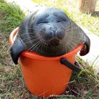 glitchthedemon2's profile picture. i probably have demitia