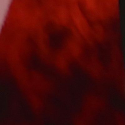 にょみさんのプロフィール画像