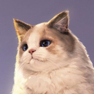 benceharomi's profile picture. Working on @zkemail