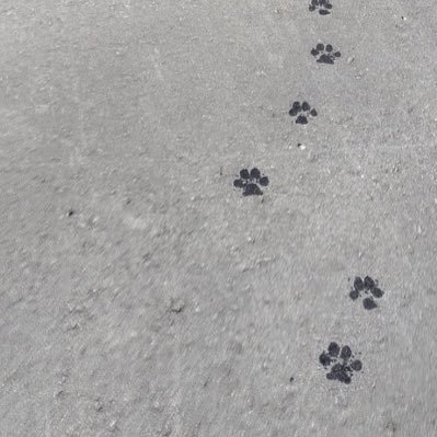 mate_dekizu's profile picture. 待て 出来ず