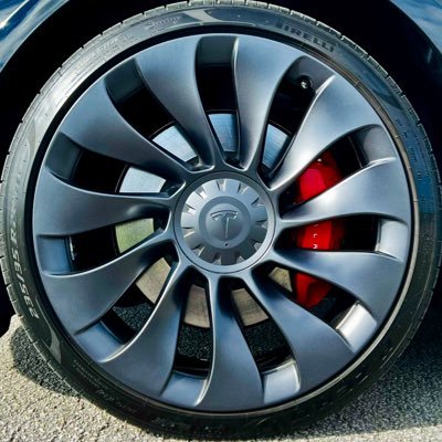 tslaperformance's profile picture. 