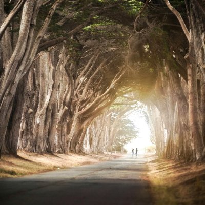 arica730's profile picture. 