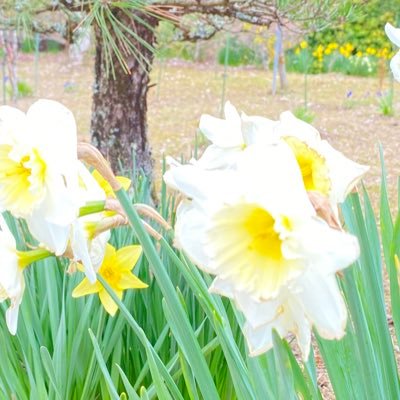 restart0308's profile picture. S水SD→Y塚EM→Sみさん→みちです！推し活を最大限する為に、今踏み出します！