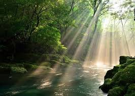 You are never too old to set another goal or to dream a new dream.