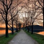 Isomtoo (@isomtoo3068) 's Twitter Profile