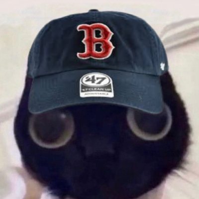 ford_buzz's profile picture. #DirtyWater #NHLBruins